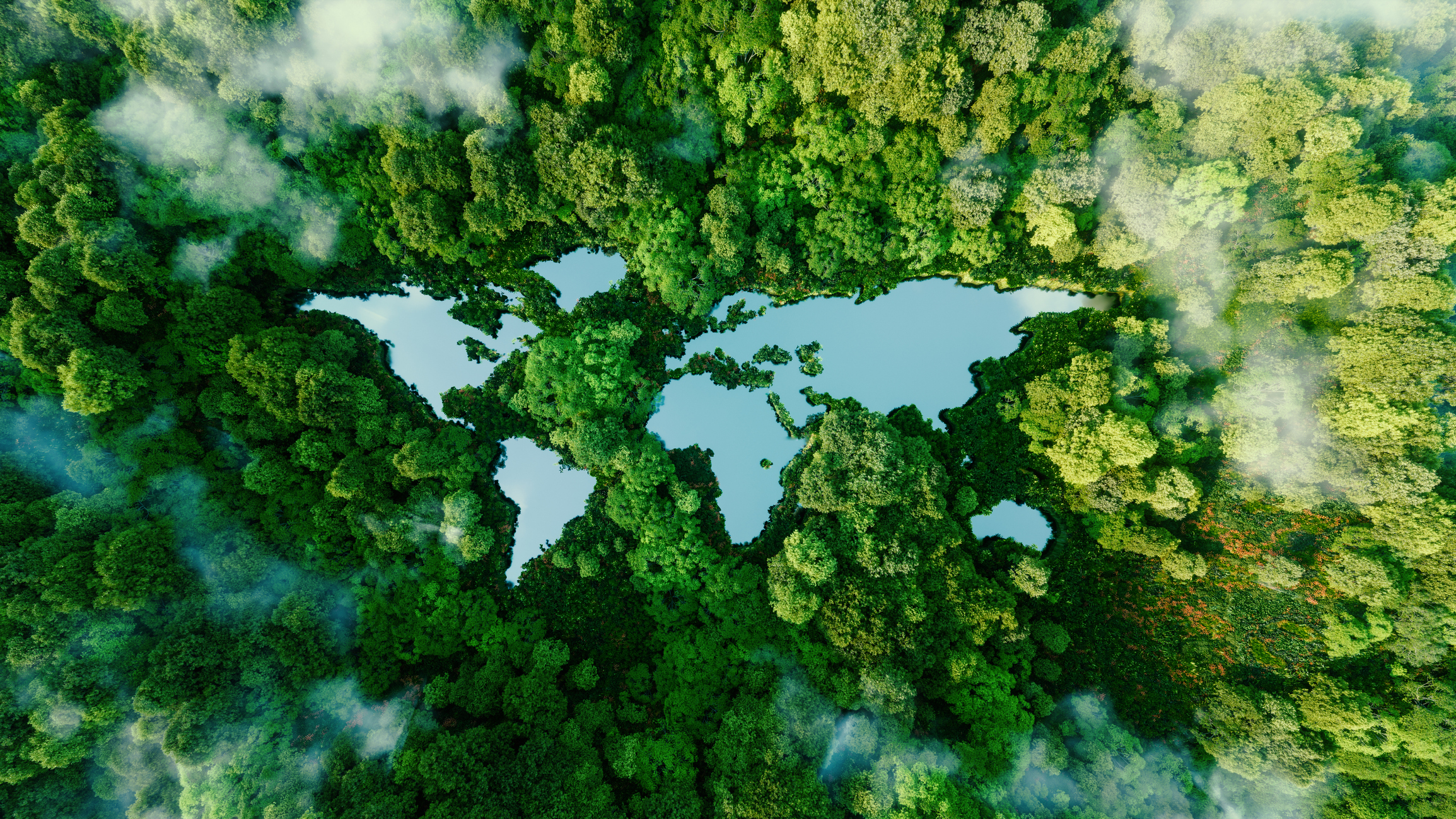 Ilustração de floresta formando um mapa-múndi, representando sustentabilidade